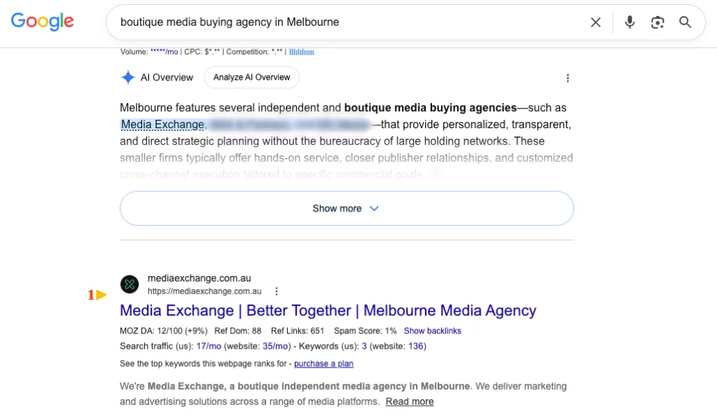 Google AI Overview search results