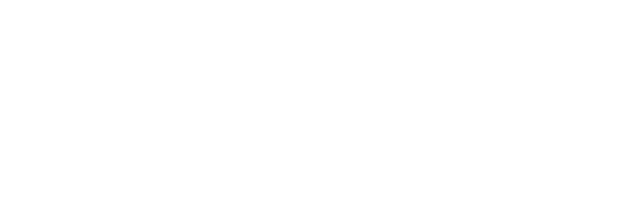 APAC Search Awards 2024 Finalist