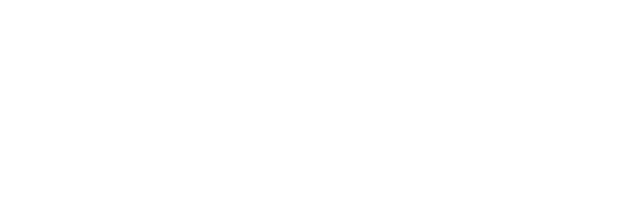 APAC Search Awards 2024 Finalist