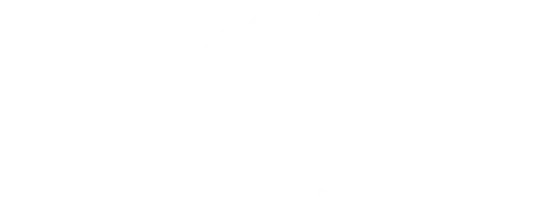 1800 We Store It